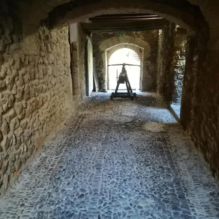 Affittimoderni Bouganville - Vibo11 Appartamento *